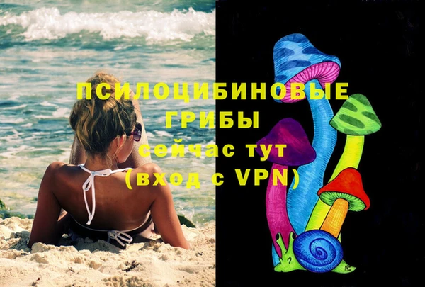 трава Нязепетровск