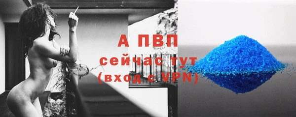 стафф Киренск