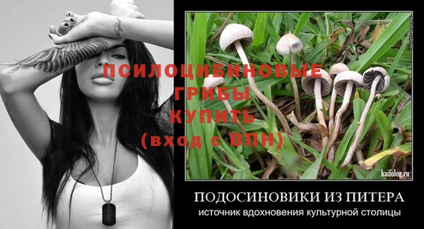 твердый Карпинск