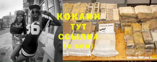 прущий лед Касимов
